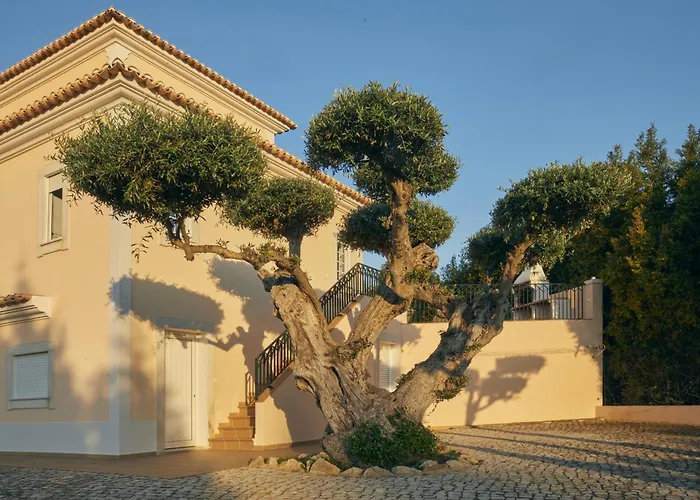 Monte Oliveiras With Private Pool Albufeira