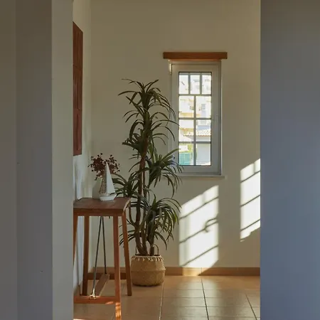 Monte Oliveiras With Private Pool * Албуфейра