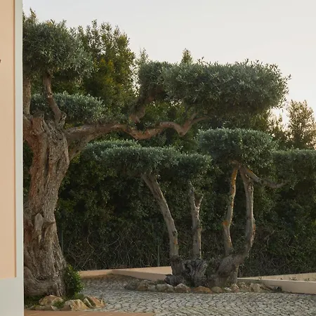 Monte Oliveiras With Private Pool Villa Albufeira