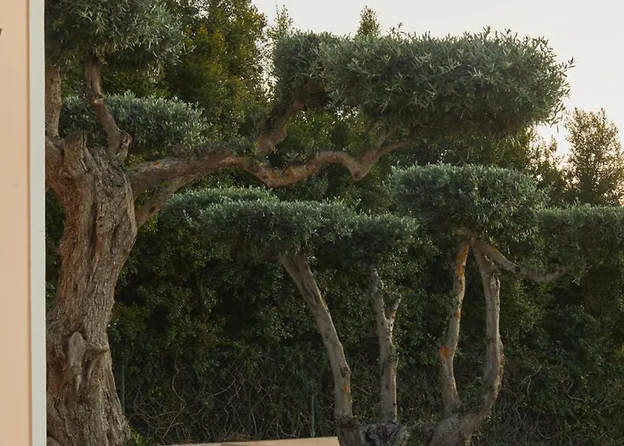 Monte Oliveiras With Private Pool 빌라 알부페이라