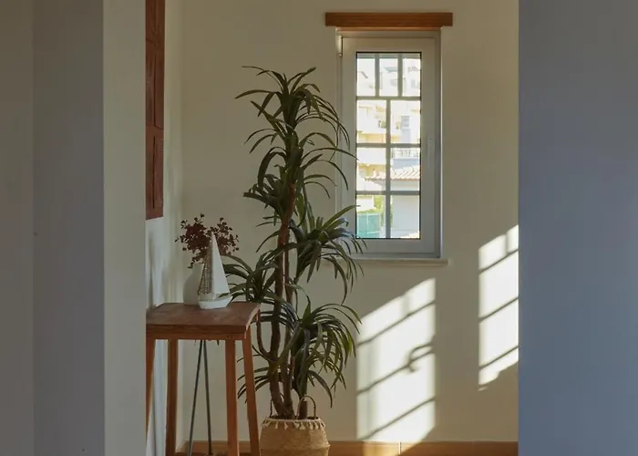 Monte Oliveiras With Private Pool * アルブフェイラ