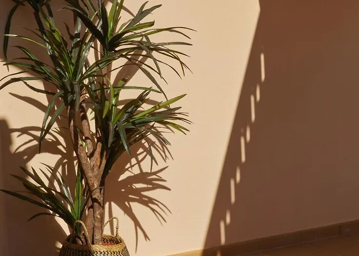 ヴィラ Monte Oliveiras With Private Pool